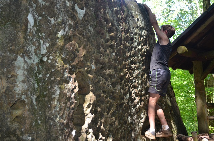 Noah climbing up a tree