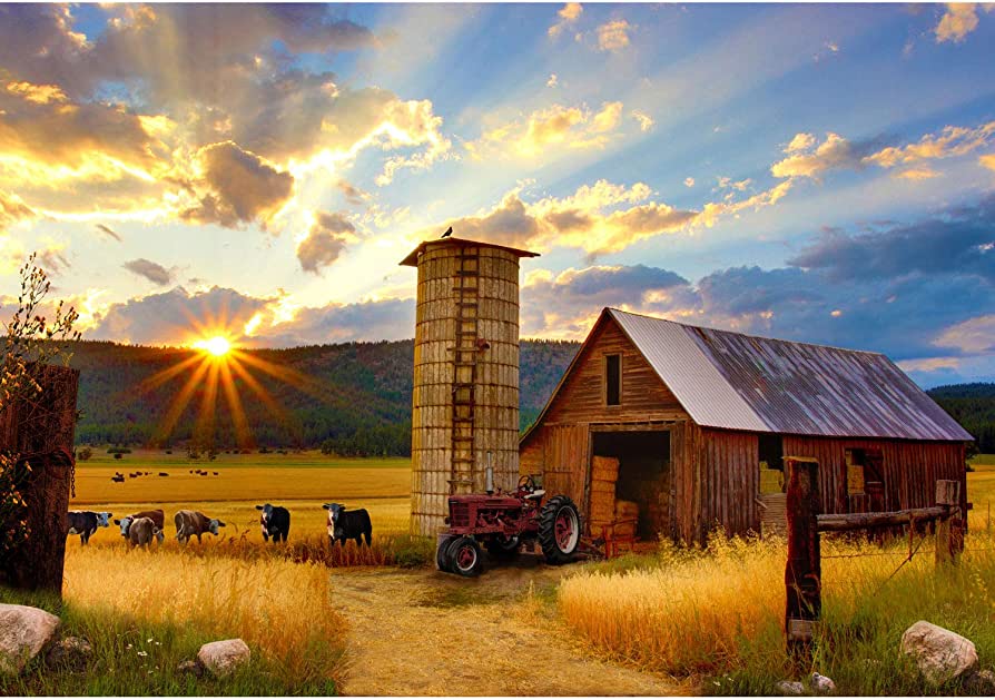 Farm with tractor