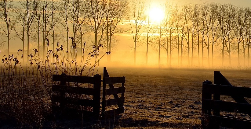 Farm with sunset