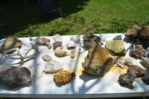 more rocks and fossils