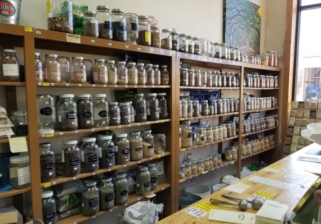 seed jars