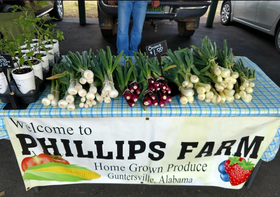 Guntersville Farmers Market