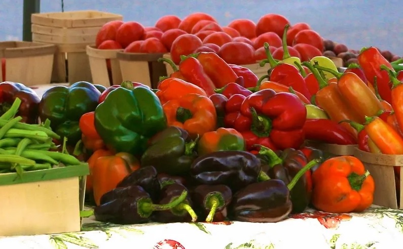 Tuesday Farmers Market