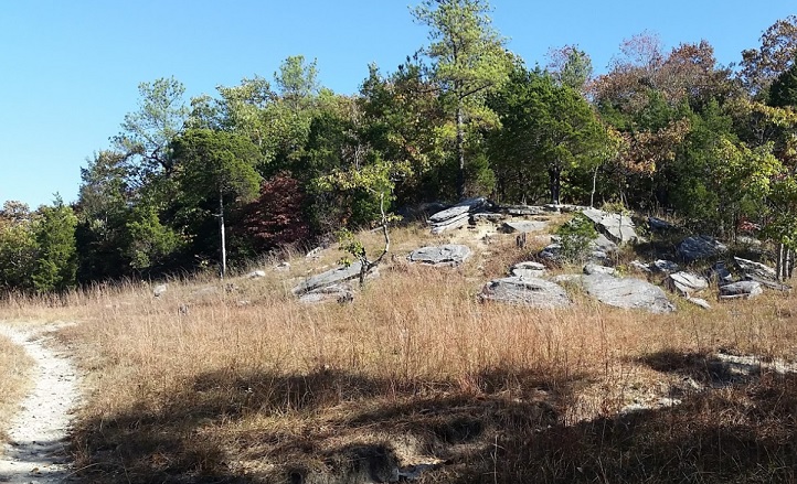 Wade Mountain Nature Preserve